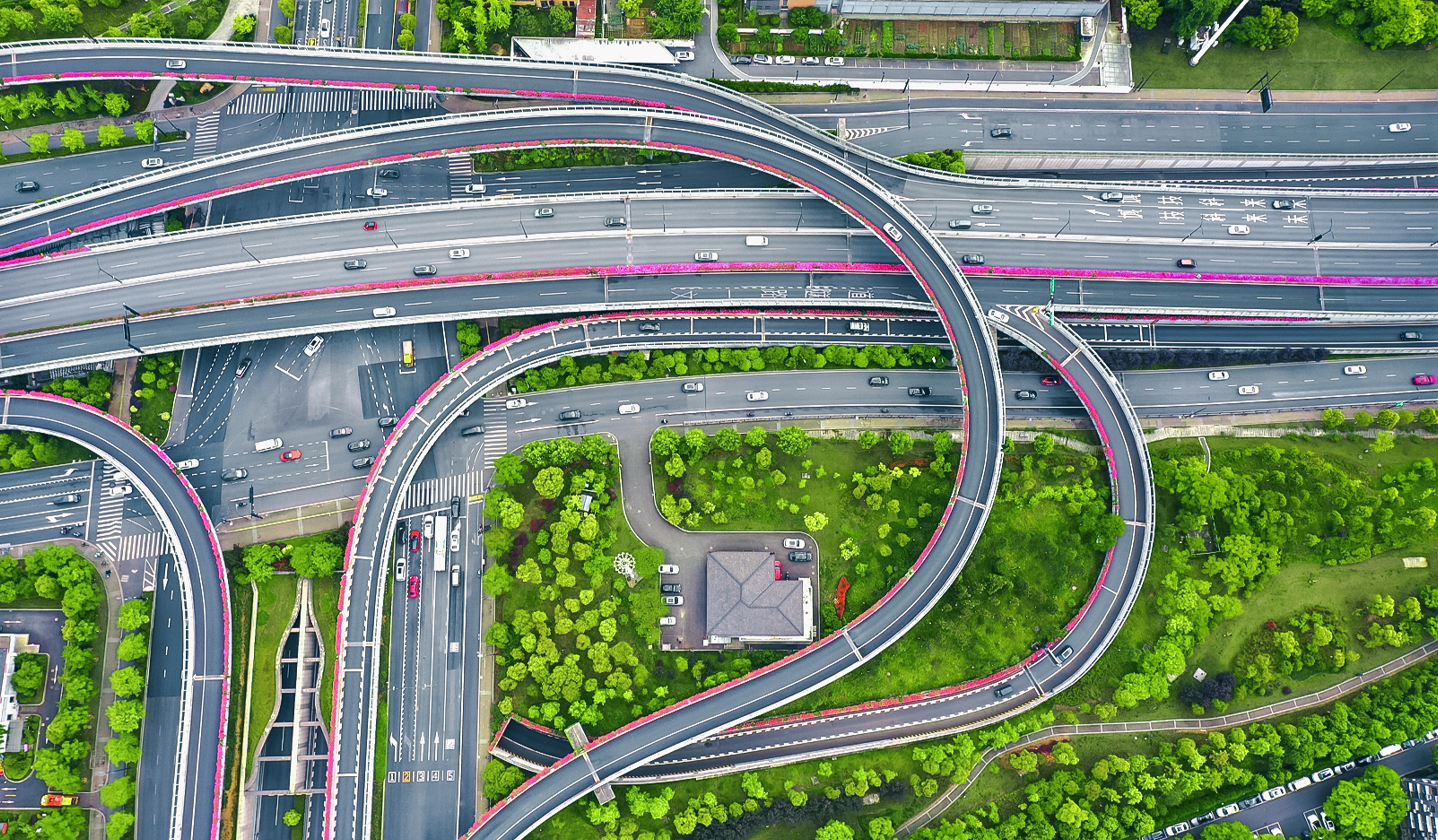 道路高架月季栽植及養護
